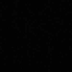 Meet your Posher, Bridgette